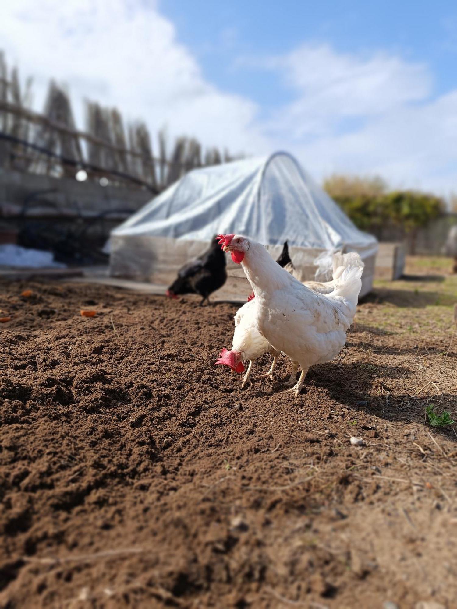 Il Sentiero B&Bio SantʼAntìoco Kültér fotó